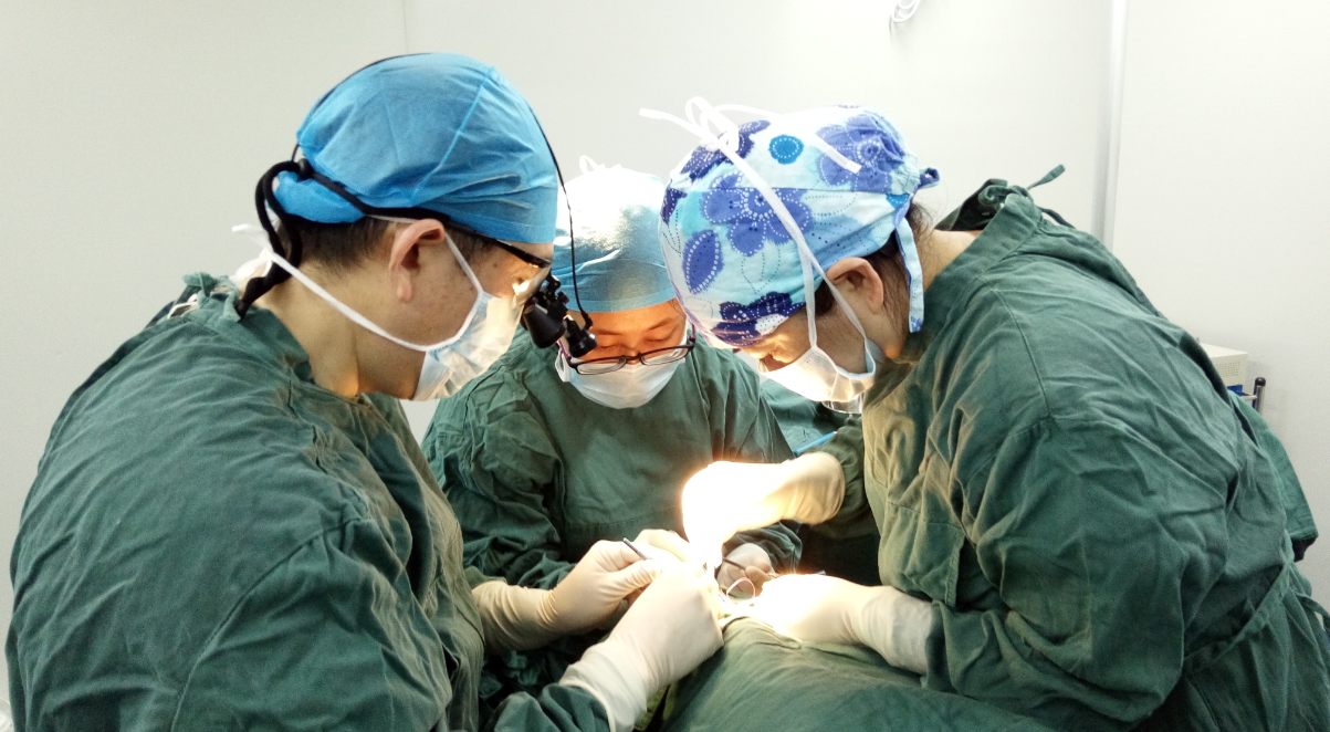 图片3.png 图片3.png